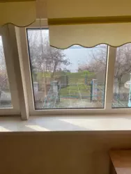 ���� 100 �. ��, ���� �����. �������� ���� 12