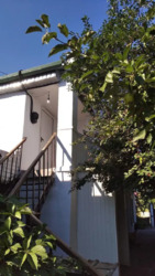 ��� 150 �. ��. ��� �����. ���! ���� 3