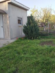 дача 30 м.кв. 6 сот. СТ Золотой Рене фото 3 дача 30 м.кв. 6 сот. СТ Золотой Рене фото 3