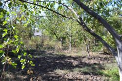 Дача. Садовый дом. 60 м. кв., с. Новоселовка, СТ Голубка. фото 10 Дача. Садовый дом. 60 м. кв., с. Новоселовка, СТ Голубка. фото 10