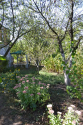 Дача. Садовый дом. 60 м. кв., с. Новоселовка, СТ Голубка. фото 11 Дача. Садовый дом. 60 м. кв., с. Новоселовка, СТ Голубка. фото 11