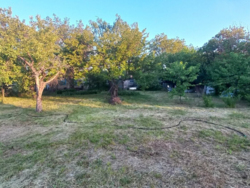 ���, 46 �. ��. �����������, ����� ���������. ���. ������� 19 �����. ���� 8