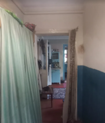 ���, 46 �. ��. �����������, ����� ��������� ���� 29