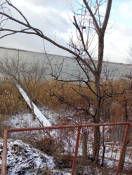 Продам дачу в Александровке 42 м. кв., со своим берегом, река Самара. фото 3 Продам дачу в Александровке 42 м. кв., со своим берегом, река Самара. фото 3