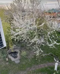 Дом-дача за ж/м Победа-6, 59 м. кв. Хорошее состояние. фото 15 Дом-дача за ж/м Победа-6, 59 м. кв. Хорошее состояние. фото 15