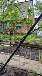 Дом дача Новоселовка 60 м. кв.. фото 8 Дом дача Новоселовка 60 м. кв.. фото 8