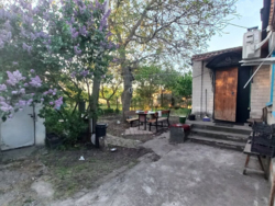 ���, 46 �. ��. �����������, ����� ���������. ���. ������� 19 �����. ���� 4