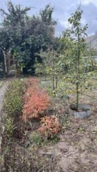 дом 62м.кв. 5 сот р- Березинки фото 20 дом 62м.кв. 5 сот р- Березинки фото 20