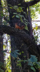 Продам Дом - Дача ул. Байкальская. фото 11 Продам Дом - Дача ул. Байкальская. фото 11