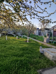 дача 30 м.кв. 6 сот. СТ Золотой Рене фото 4 дача 30 м.кв. 6 сот. СТ Золотой Рене фото 4