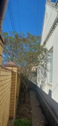 ������������ �� ���� �����, 190 �. ��. ����� �/� ������� ������ ���� 10