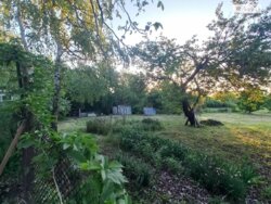 ���, 46 �. ��. �����������, ����� ��������� ���� 9