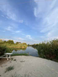 ������ ���� ��� ������� � ������ � �����������. ���� 1