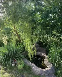 Дом-дача за ж/м Победа-6, 59 м. кв. Хорошее состояние. фото 18 Дом-дача за ж/м Победа-6, 59 м. кв. Хорошее состояние. фото 18