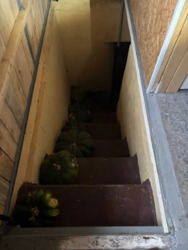 Дом-дача 65 м. кв. 8,3 сот. Диёвка фото 9 Дом-дача 65 м. кв. 8,3 сот. Диёвка фото 9