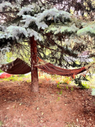 ��� 270�.�� �������� ���� 10