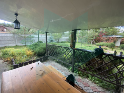 ���� 50 �. ��. �� ����� ��������� ��������. ���� 9