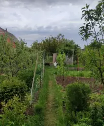 ��� 80 �. ��. ������ ������, 5 �� �� ������-6. ���� 4