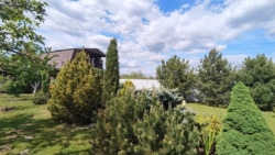 Дом-дача 57 м. кв. Мебель. Техника. Подгороднее. СТ Цветок фото 23 Дом-дача 57 м. кв. Мебель. Техника. Подгороднее. СТ Цветок фото 23