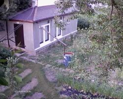 ���� 15 �� �� ������, ������� �������. ���, ���� ��������� - �������. ���� 3