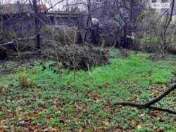 ��������� ������� ������, ����������������, �������������� ���� 15