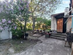 ���, 46 �. ��. �����������, ����� ��������� ���� 6