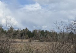 Дача 76 м. кв., участок 9,2 сотки с удобствами и отоплением. Обуховка. Лес. Река Орель. фото 10 Дача 76 м. кв., участок 9,2 сотки с удобствами и отоплением. Обуховка. Лес. Река Орель. фото 10