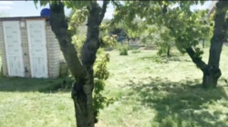 ���� � ������ ������-����������. ��� 70 �. ��. ����� ���� ����. ���� 19