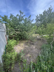 ������ ���� ����� ������� ����-3, ���������, �����������������. ���� 7