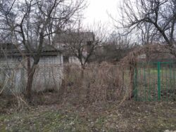 Дача у леса и озер для жизни и отдыха в черте города/ СТ 'Родник' фото 6 Дача у леса и озер для жизни и отдыха в черте города/ СТ 'Родник' фото 6