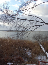 Продам дачу в Александровке 42 м. кв., со своим берегом, река Самара. фото 2 Продам дачу в Александровке 42 м. кв., со своим берегом, река Самара. фото 2