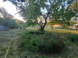 ���, 46 �. ��. �����������, ����� ���������. ���. ������� 19 �����. ���� 11