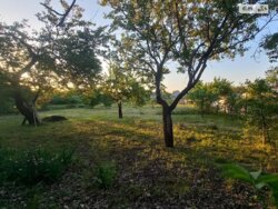 ���, 46 �. ��. �����������, ����� ��������� ���� 8