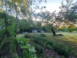 ���, 46 �. ��. �����������, ����� ���������. ���. ������� 19 �����. ���� 14