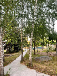 ��� 270�.�� �������� ���� 17