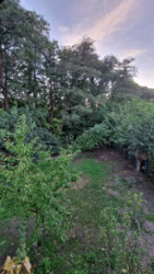 Продам Дом - Дача ул. Байкальская. фото 7 Продам Дом - Дача ул. Байкальская. фото 7