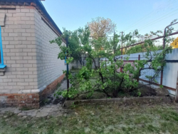 ���, 46 �. ��. �����������, ����� ���������. ���. ������� 19 �����. ���� 2