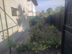 ���� � ���������, �� �����-3, 115 �. ��. ���� 6