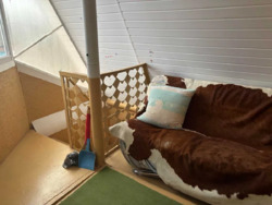 Дом-дача 65 м. кв. 8,3 сот. Диёвка фото 17 Дом-дача 65 м. кв. 8,3 сот. Диёвка фото 17