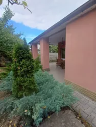 ��� 120 �. ��. ��. ���������. ������. ������. �������. ���� 5