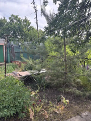 ������ ���� ����� ������� ����-3, ���������, �����������������. ���� 16