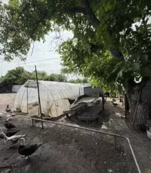 Дом, 75 м. кв. Березановка, санузел в доме. Газ. фото 17 Дом, 75 м. кв. Березановка, санузел в доме. Газ. фото 17