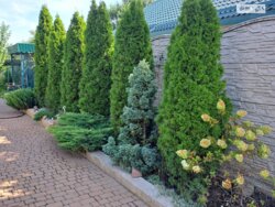 Дом 100 м. кв. 10 сот. Донецкое шоссе фото 4 Дом 100 м. кв. 10 сот. Донецкое шоссе фото 4