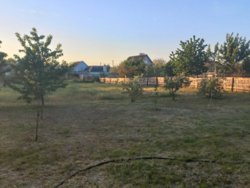 ���, 46 �. ��. �����������, ����� ���������. ���. ������� 19 �����. ���� 10