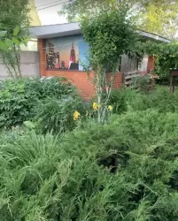 Дом-дача за ж/м Победа-6, 59 м. кв. Хорошее состояние. фото 19 Дом-дача за ж/м Победа-6, 59 м. кв. Хорошее состояние. фото 19