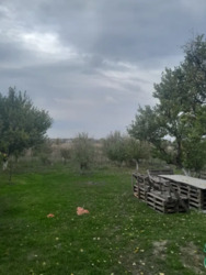 Дом 170 м. кв., 17 сот. р-н Передовой. Мебель. Техника. фото 4 Дом 170 м. кв., 17 сот. р-н Передовой. Мебель. Техника. фото 4