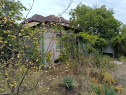 ���� 25 �. ��. �� '������-3' ���� 7