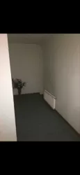       .    366 . .  14