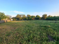 ���, 46 �. ��. �����������, ����� ���������. ���. ������� 19 �����. ���� 9