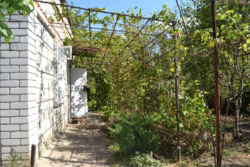 Дача. Садовый дом. 60 м. кв., с. Новоселовка, СТ Голубка. фото 7 Дача. Садовый дом. 60 м. кв., с. Новоселовка, СТ Голубка. фото 7